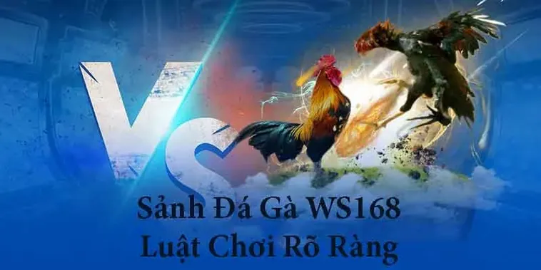 Hướng Dẫn Cách Chơi Đá Gà WS168 Tại Xoso333 Thắng Lớn Nhanh