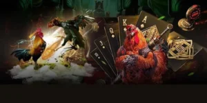 Chinh Phục Cách Chơi Đá Gà GA28 Tại Xoso333 Siêu Lợi Nhuận