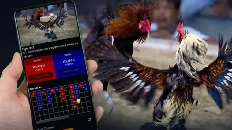 Trải Nghiệm Đỉnh Cao Sới Gà Kịch Tính Tại Đấu Trường Đá Gà Xoso333